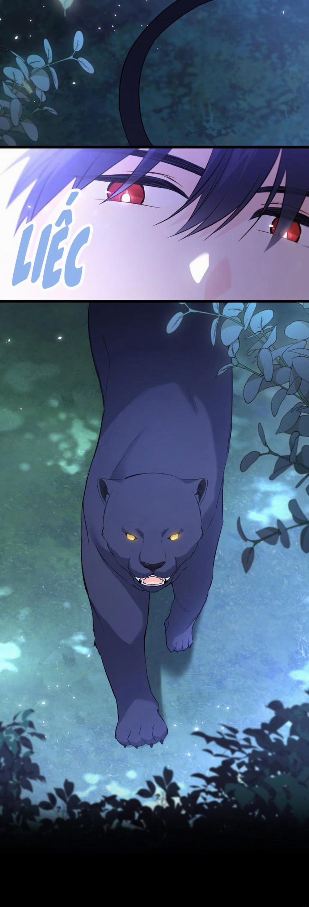 Mối Quan Hệ Cộng Sinh Giữa Báo Đen Và Thỏ Trắng 51 trang 9