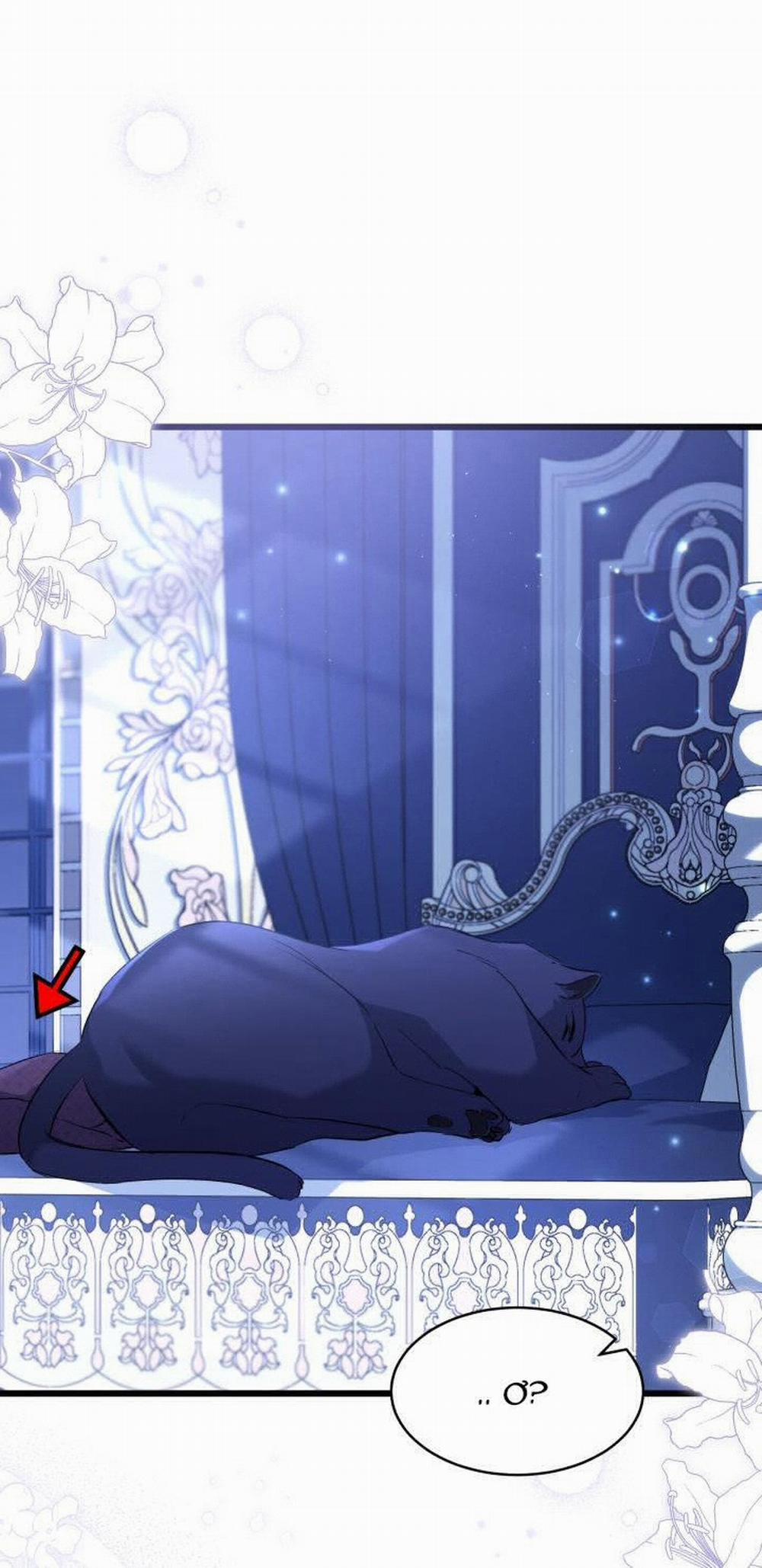 Mối Quan Hệ Cộng Sinh Giữa Báo Đen Và Thỏ Trắng 54 trang 13