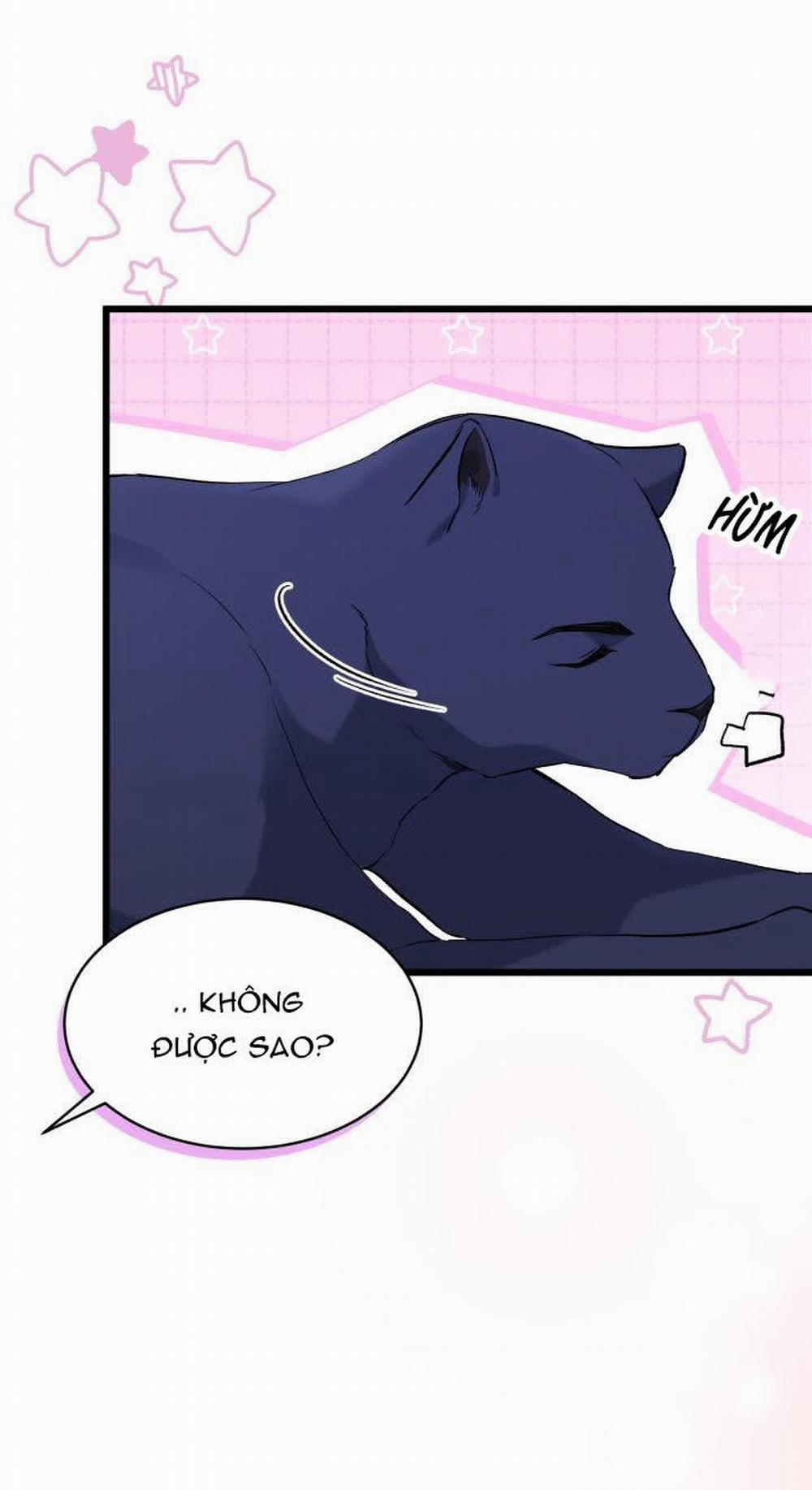 Mối Quan Hệ Cộng Sinh Giữa Báo Đen Và Thỏ Trắng 54 trang 30