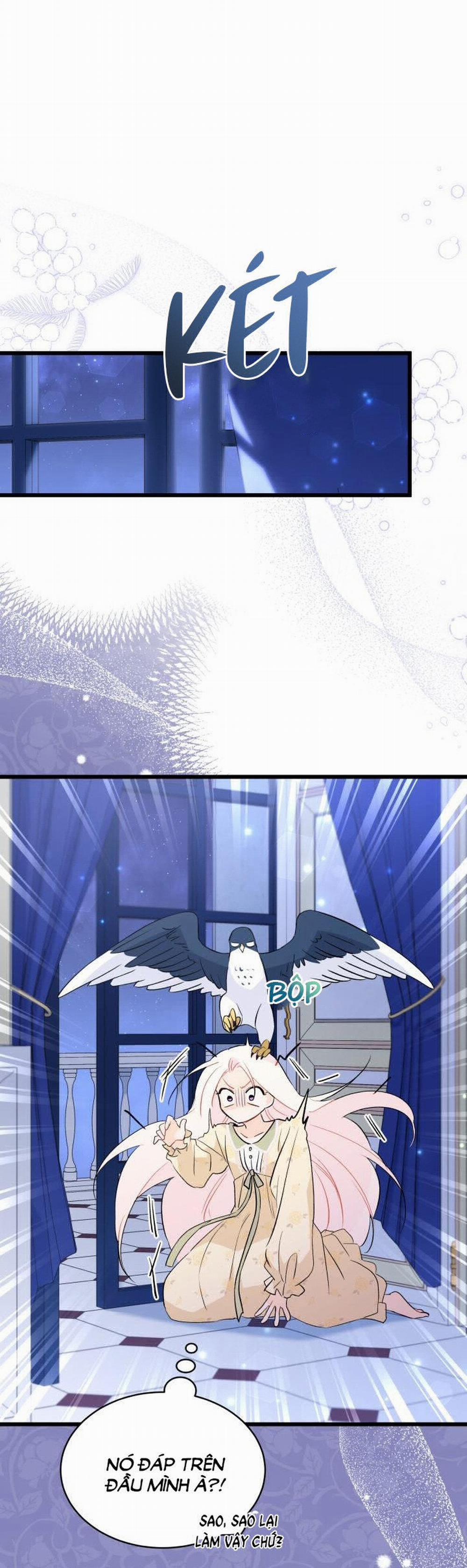 Mối Quan Hệ Cộng Sinh Giữa Báo Đen Và Thỏ Trắng 54 trang 9