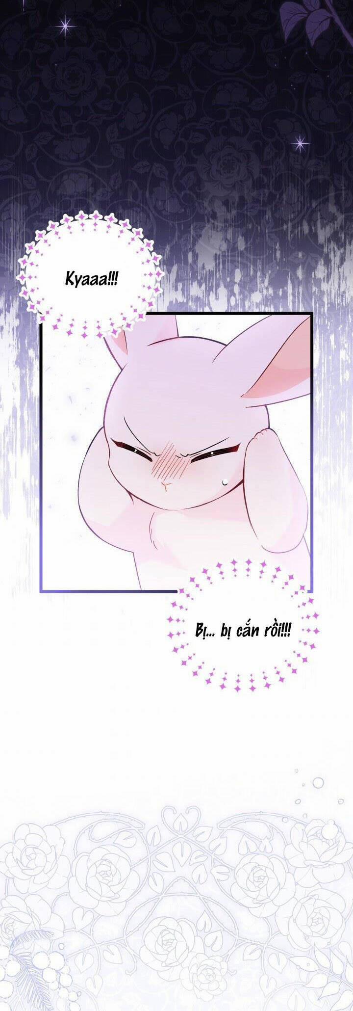 Mối Quan Hệ Cộng Sinh Giữa Báo Đen Và Thỏ Trắng 55 trang 15