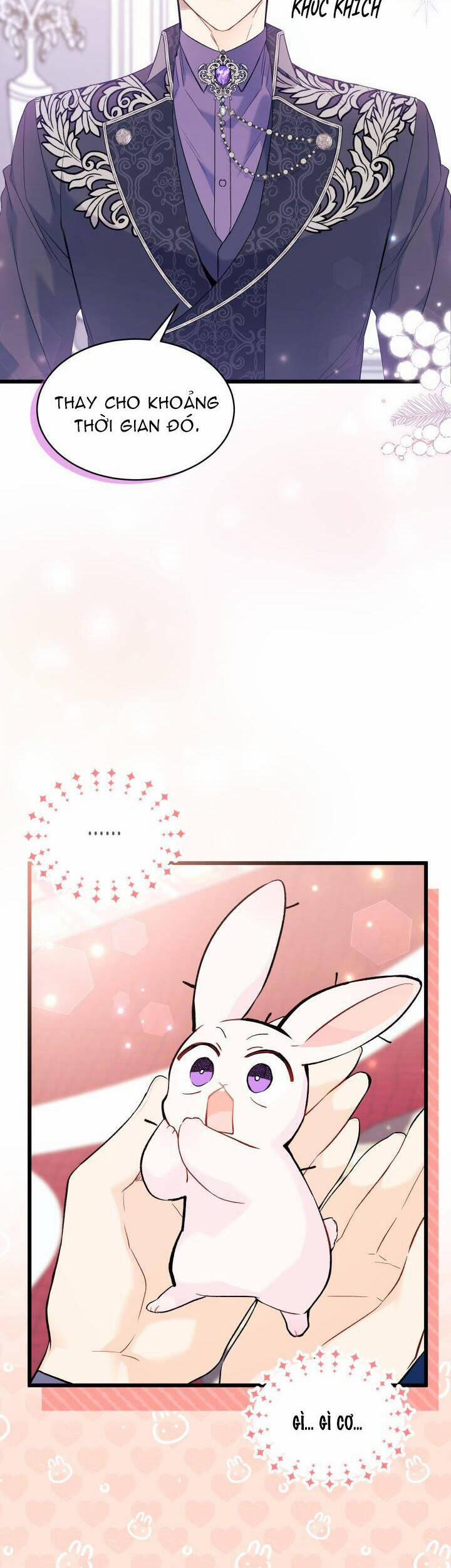 Mối Quan Hệ Cộng Sinh Giữa Báo Đen Và Thỏ Trắng 55 trang 17