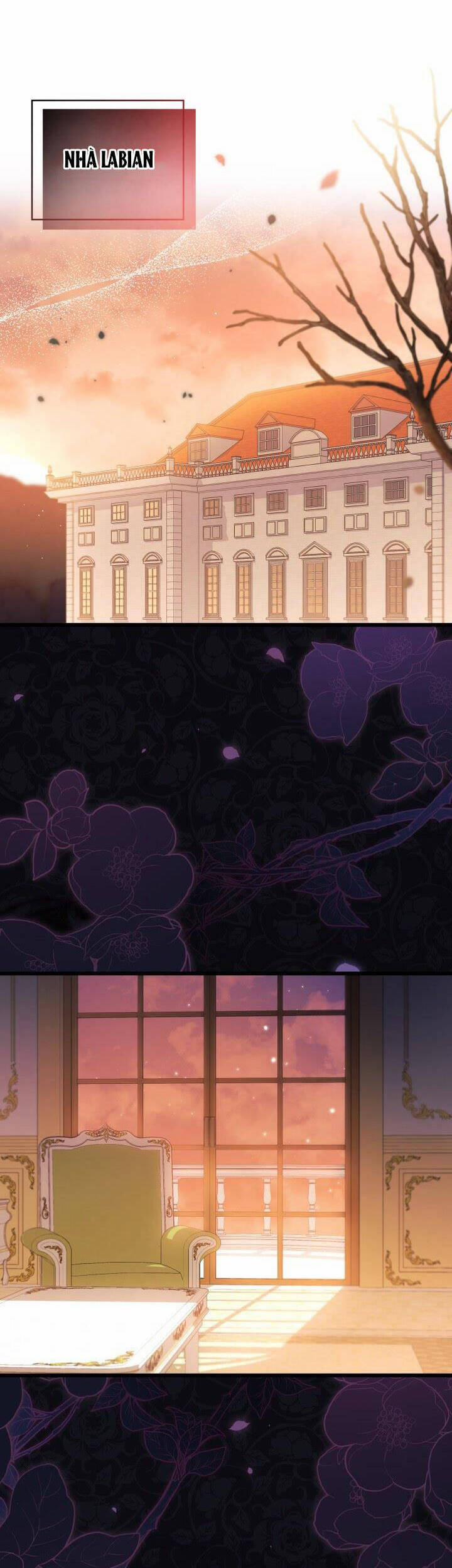 Mối Quan Hệ Cộng Sinh Giữa Báo Đen Và Thỏ Trắng 55 trang 19