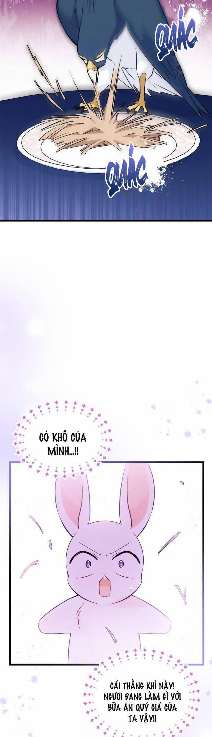 Mối Quan Hệ Cộng Sinh Giữa Báo Đen Và Thỏ Trắng 55 trang 2