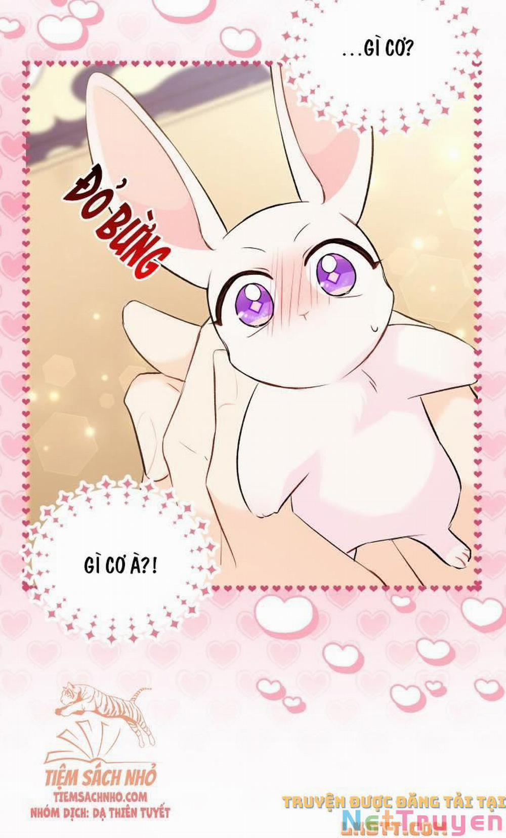 Mối Quan Hệ Cộng Sinh Giữa Báo Đen Và Thỏ Trắng 56 trang 71