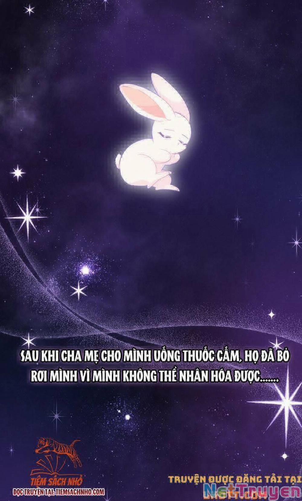 Mối Quan Hệ Cộng Sinh Giữa Báo Đen Và Thỏ Trắng 59 trang 2