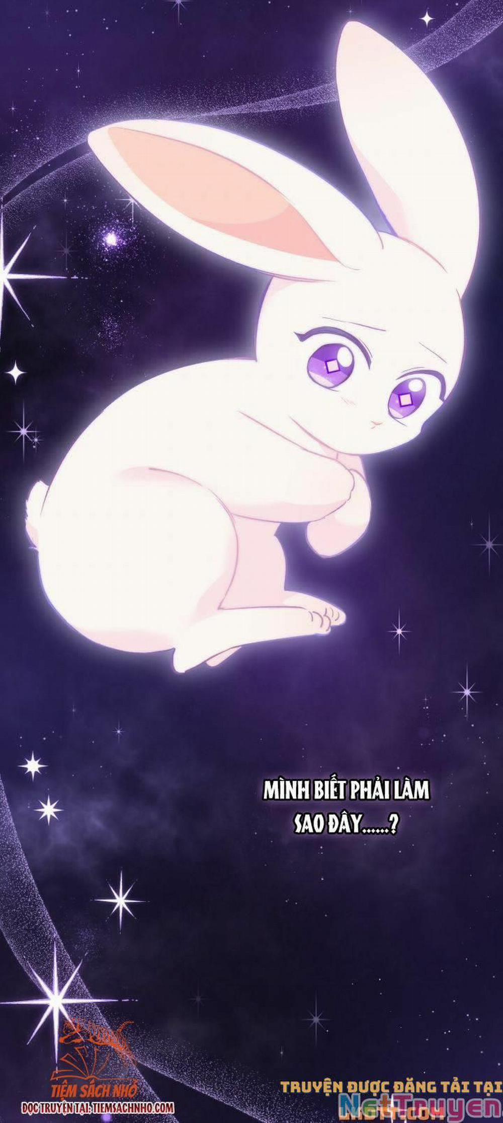 Mối Quan Hệ Cộng Sinh Giữa Báo Đen Và Thỏ Trắng 59 trang 3