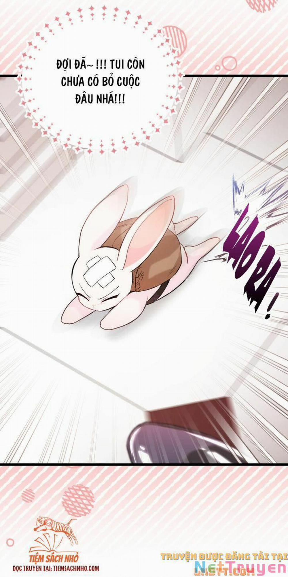 Mối Quan Hệ Cộng Sinh Giữa Báo Đen Và Thỏ Trắng 59 trang 42