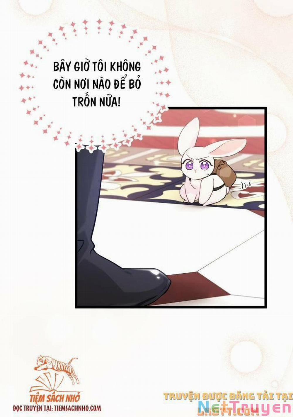 Mối Quan Hệ Cộng Sinh Giữa Báo Đen Và Thỏ Trắng 59 trang 50