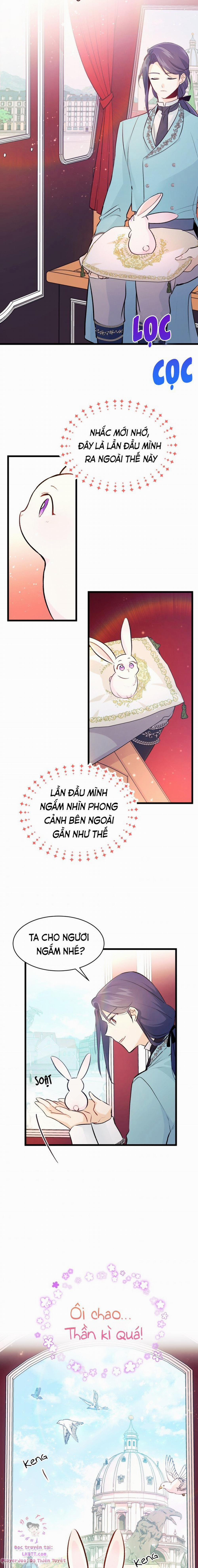 Mối Quan Hệ Cộng Sinh Giữa Báo Đen Và Thỏ Trắng 6 trang 16