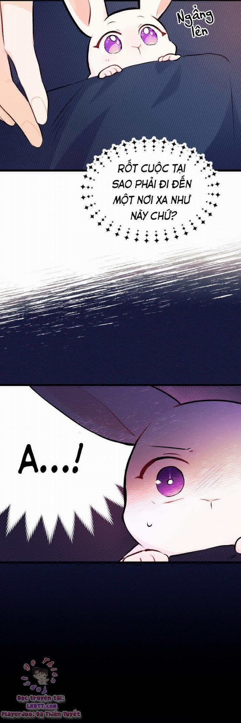 Mối Quan Hệ Cộng Sinh Giữa Báo Đen Và Thỏ Trắng 6 trang 21