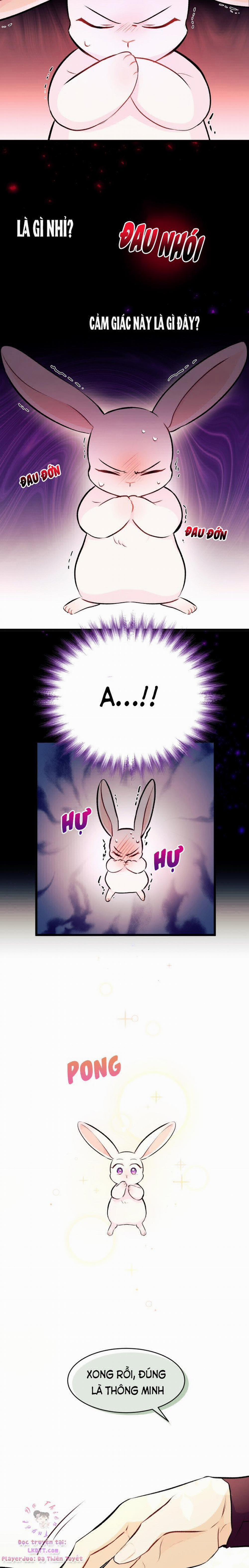 Mối Quan Hệ Cộng Sinh Giữa Báo Đen Và Thỏ Trắng 6 trang 8