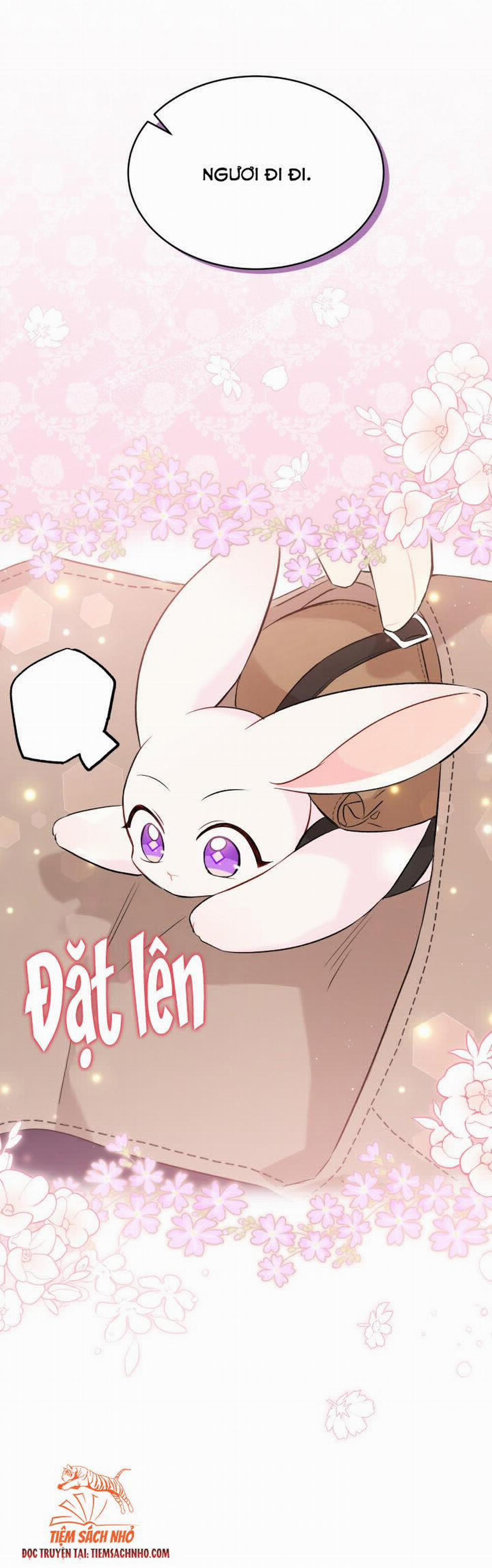 Mối Quan Hệ Cộng Sinh Giữa Báo Đen Và Thỏ Trắng 60.5 trang 29