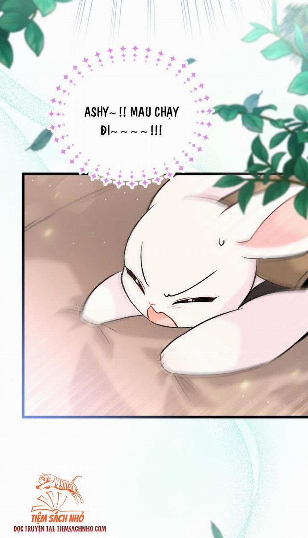 Mối Quan Hệ Cộng Sinh Giữa Báo Đen Và Thỏ Trắng 60 trang 28