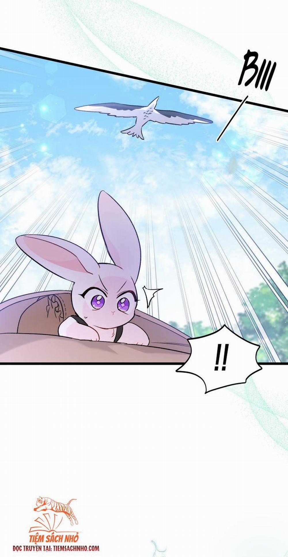 Mối Quan Hệ Cộng Sinh Giữa Báo Đen Và Thỏ Trắng 60 trang 32