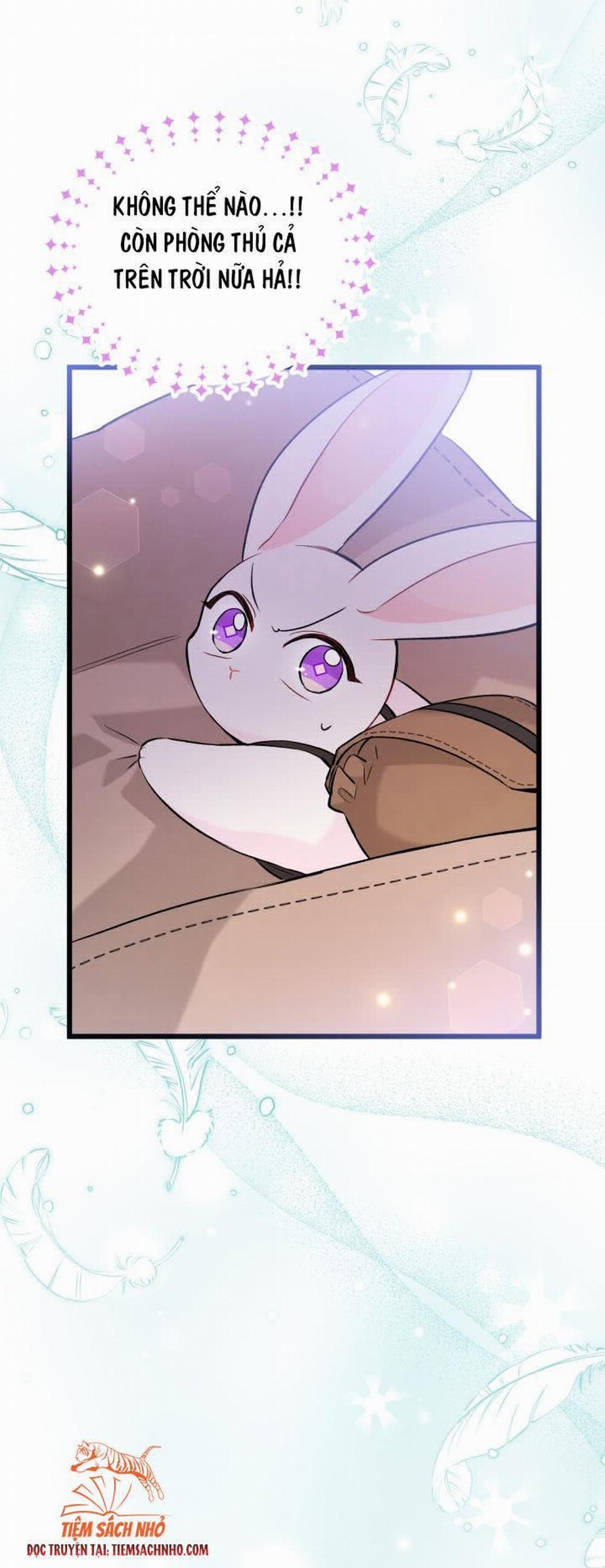 Mối Quan Hệ Cộng Sinh Giữa Báo Đen Và Thỏ Trắng 60 trang 33