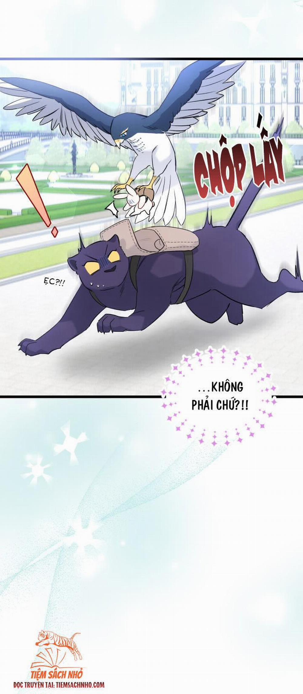 Mối Quan Hệ Cộng Sinh Giữa Báo Đen Và Thỏ Trắng 60 trang 34