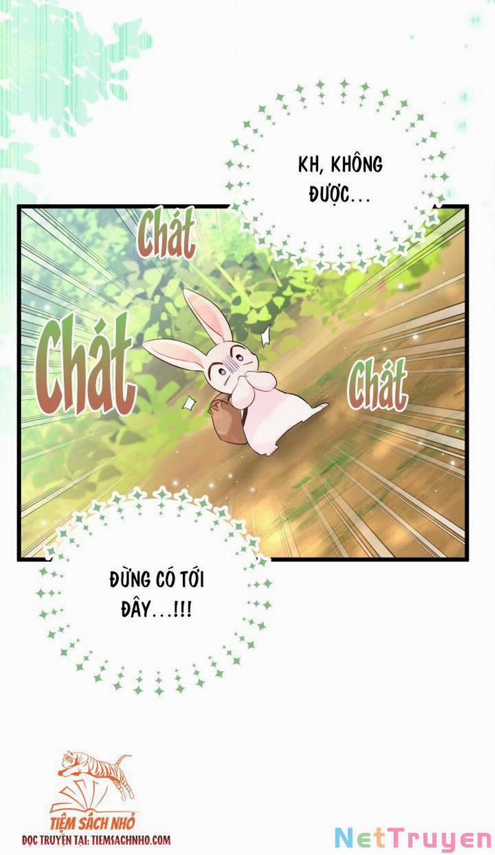 Mối Quan Hệ Cộng Sinh Giữa Báo Đen Và Thỏ Trắng 61 trang 63