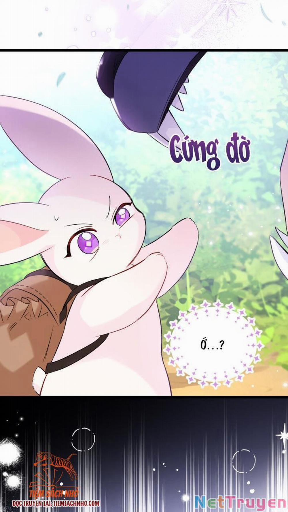 Mối Quan Hệ Cộng Sinh Giữa Báo Đen Và Thỏ Trắng 61 trang 66