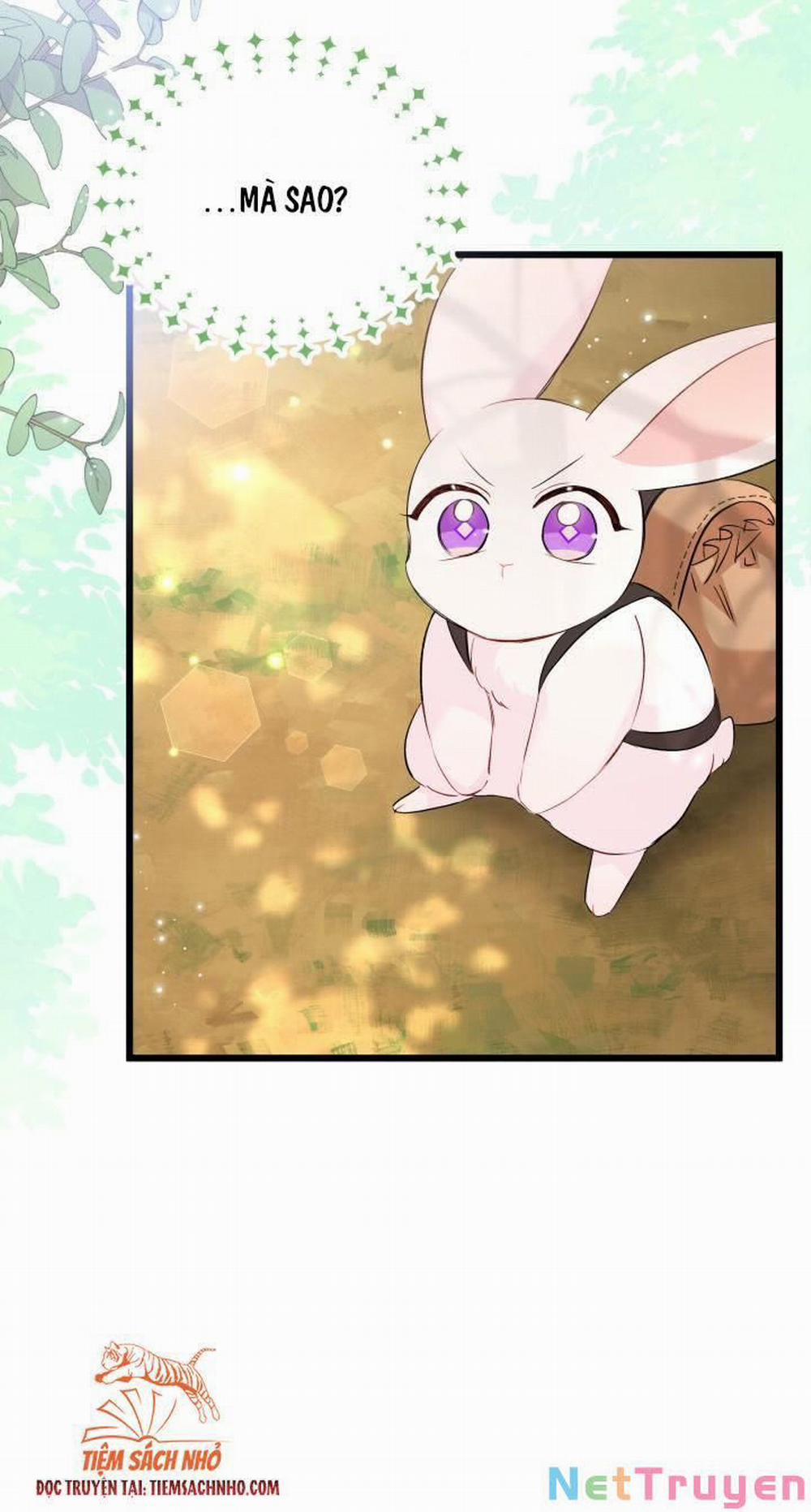 Mối Quan Hệ Cộng Sinh Giữa Báo Đen Và Thỏ Trắng 61 trang 72