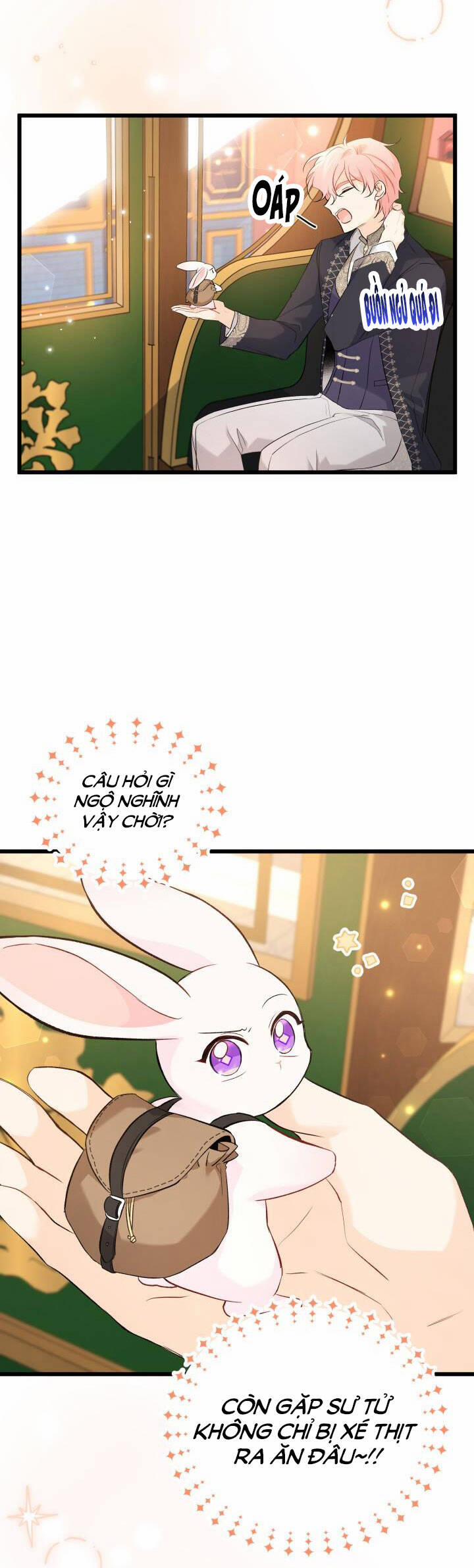 Mối Quan Hệ Cộng Sinh Giữa Báo Đen Và Thỏ Trắng 62 trang 3