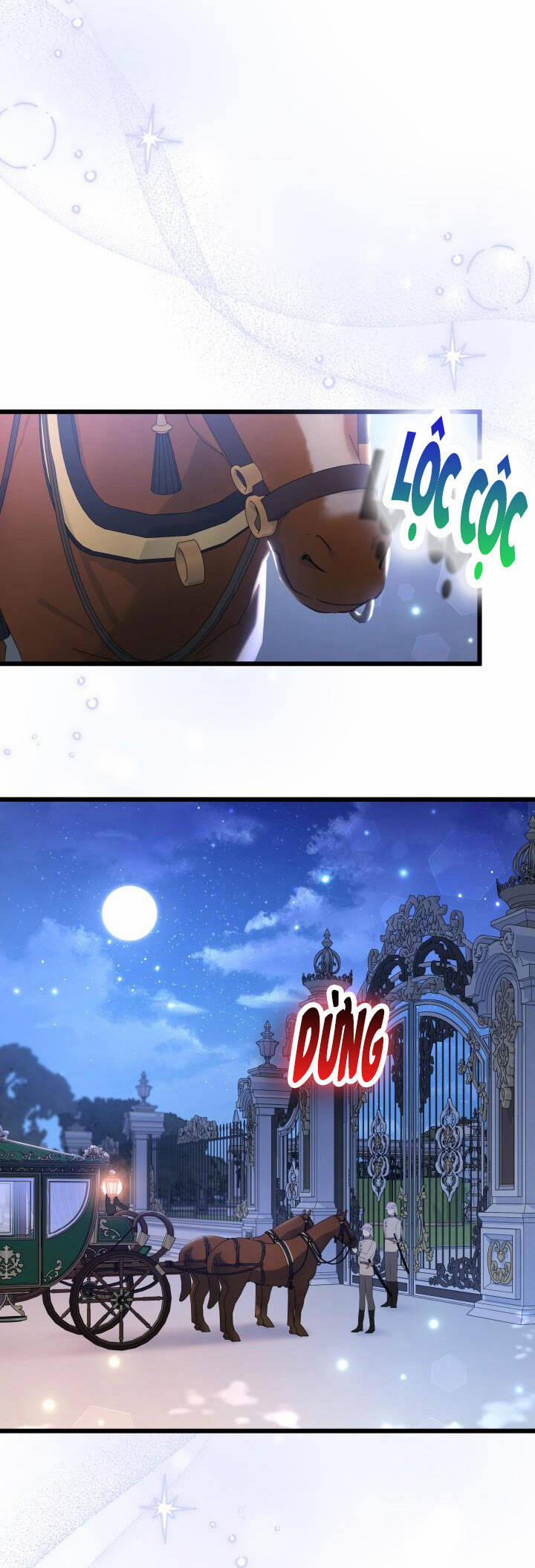 Mối Quan Hệ Cộng Sinh Giữa Báo Đen Và Thỏ Trắng 62 trang 49