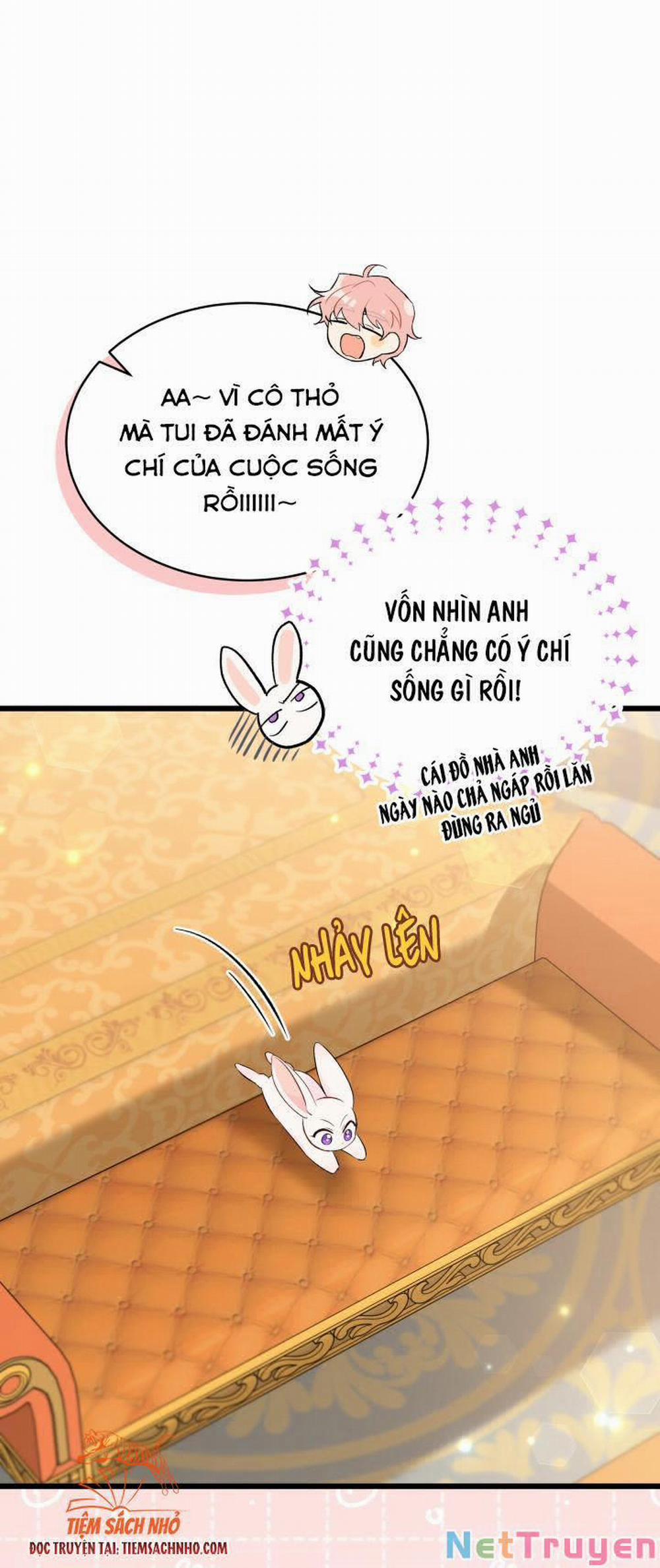 Mối Quan Hệ Cộng Sinh Giữa Báo Đen Và Thỏ Trắng 63 trang 18