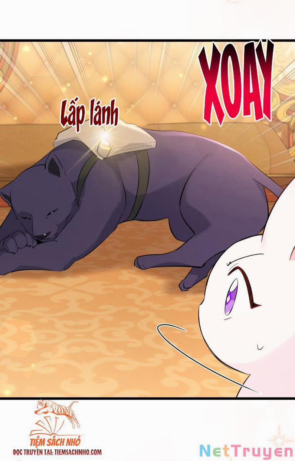 Mối Quan Hệ Cộng Sinh Giữa Báo Đen Và Thỏ Trắng 63 trang 38