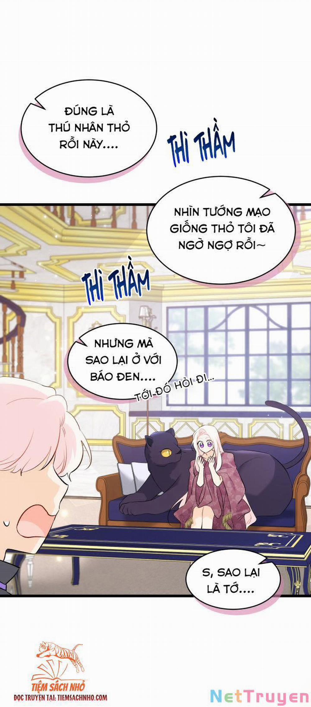 Mối Quan Hệ Cộng Sinh Giữa Báo Đen Và Thỏ Trắng 63 trang 66