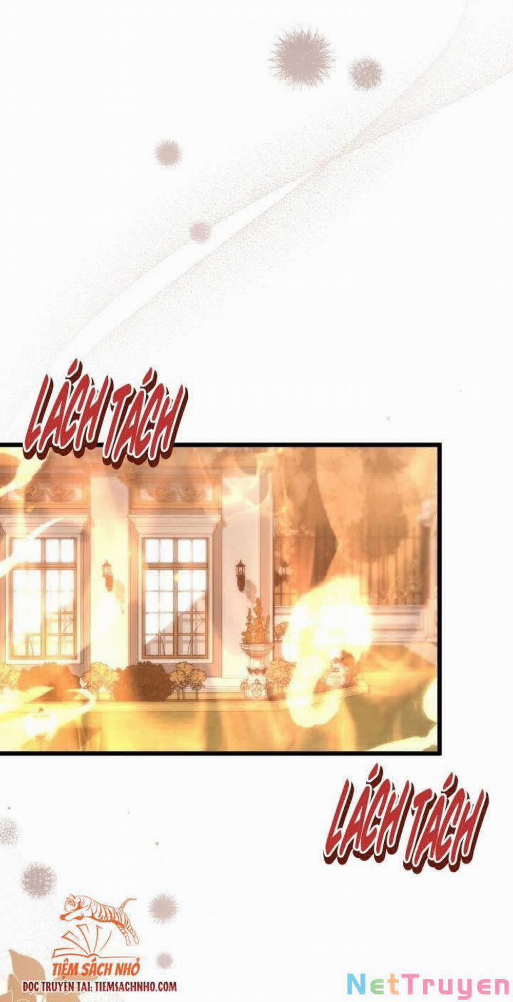 Mối Quan Hệ Cộng Sinh Giữa Báo Đen Và Thỏ Trắng 68 trang 2