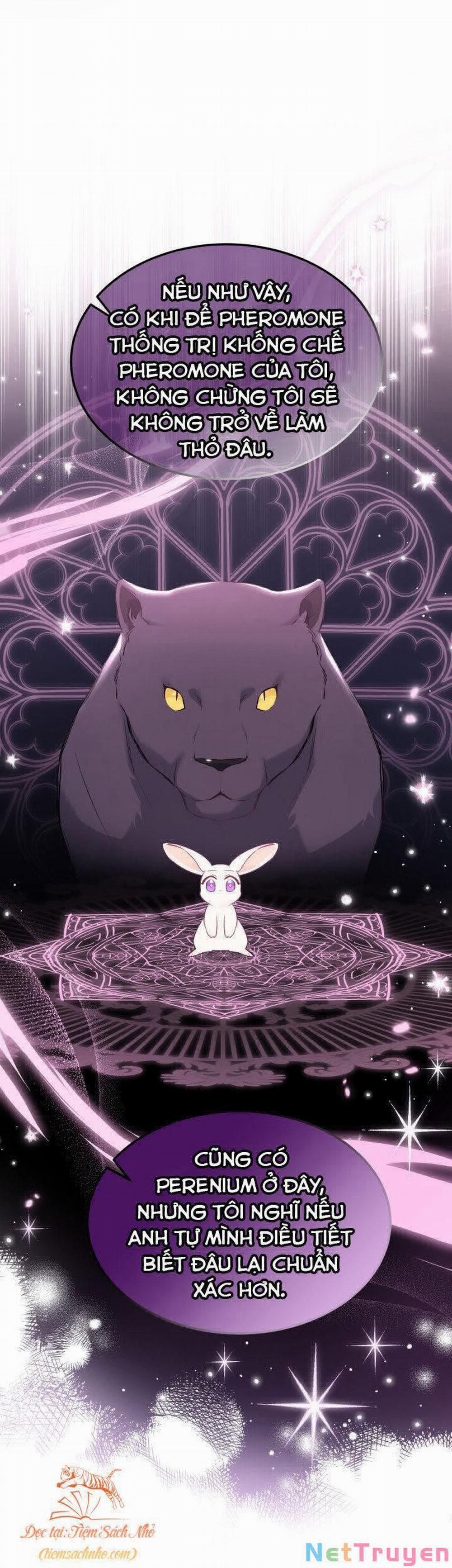 Mối Quan Hệ Cộng Sinh Giữa Báo Đen Và Thỏ Trắng 71 trang 37