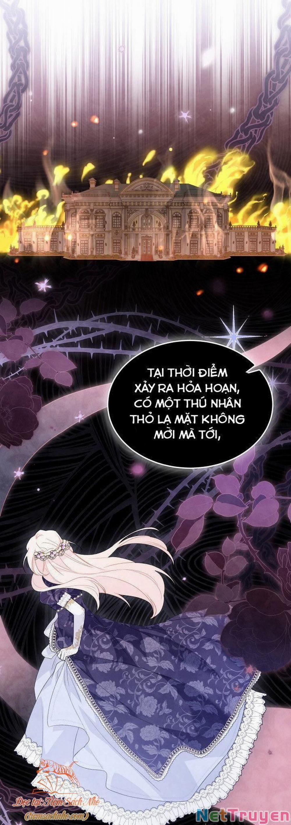 Mối Quan Hệ Cộng Sinh Giữa Báo Đen Và Thỏ Trắng 71 trang 66