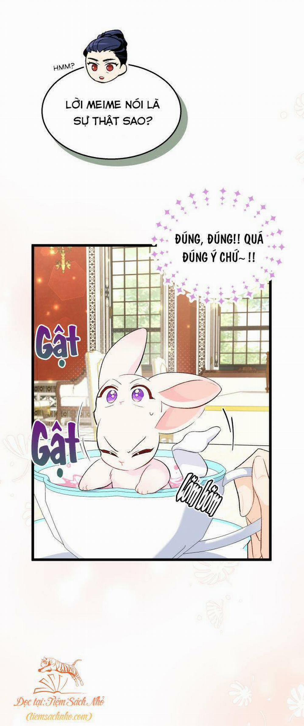 Mối Quan Hệ Cộng Sinh Giữa Báo Đen Và Thỏ Trắng 84 trang 14