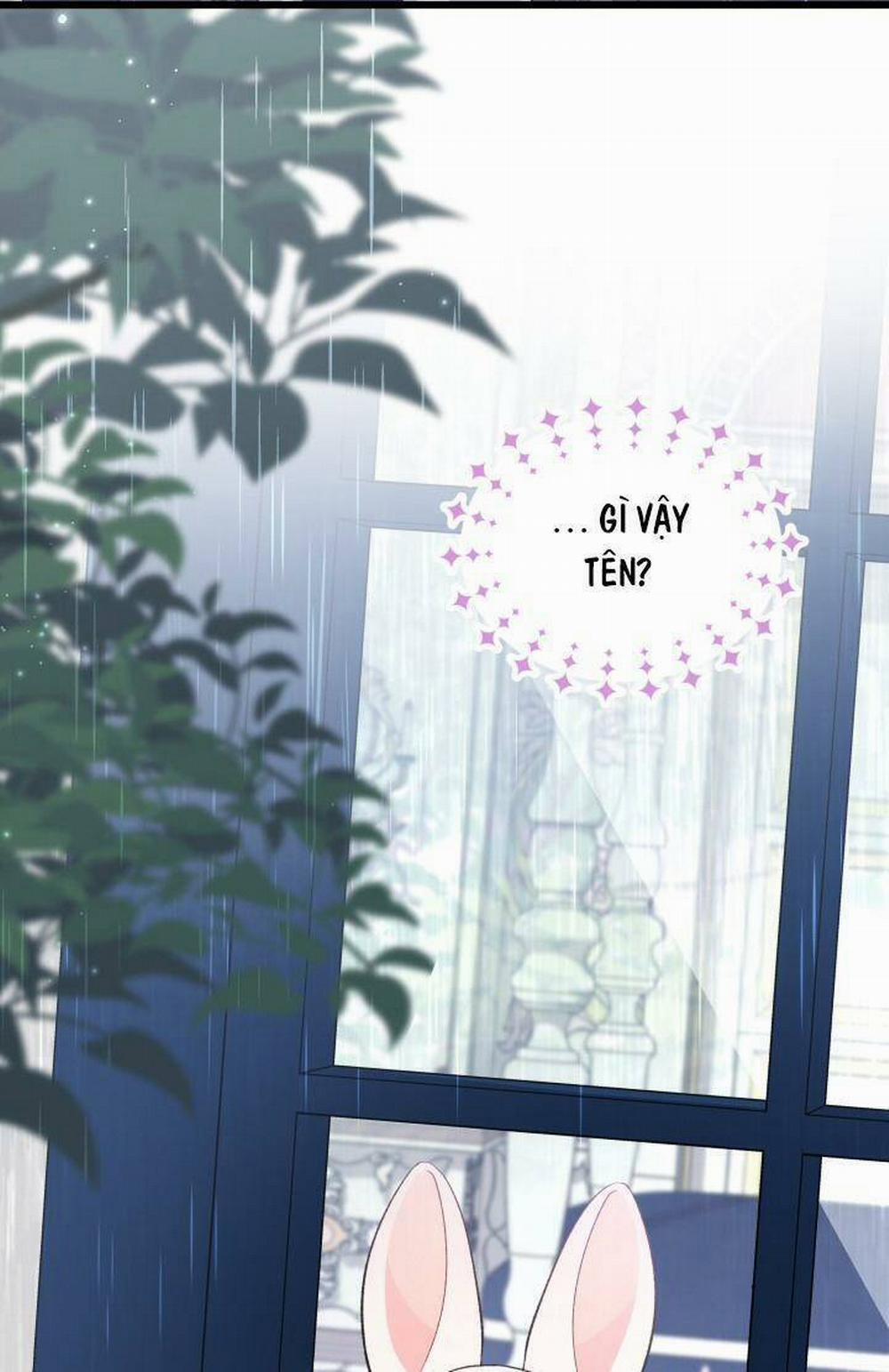 Mối Quan Hệ Cộng Sinh Giữa Báo Đen Và Thỏ Trắng 84 trang 68