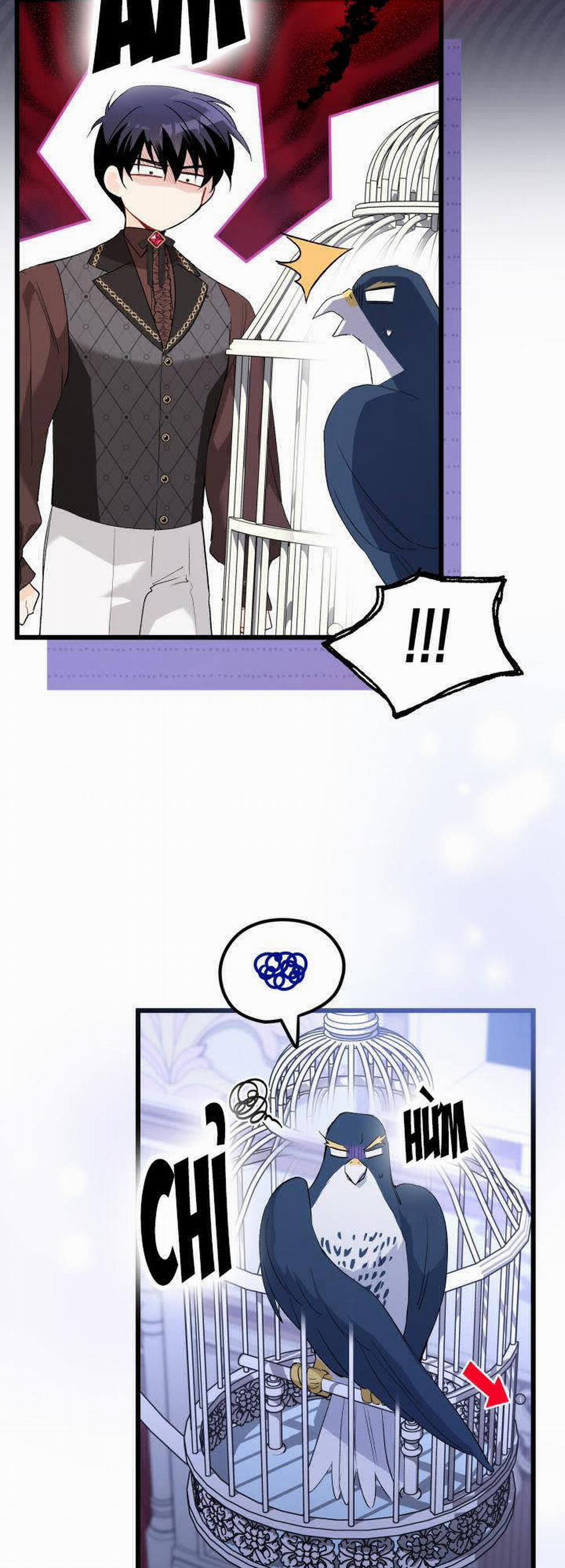 Mối Quan Hệ Cộng Sinh Giữa Báo Đen Và Thỏ Trắng 87 trang 6