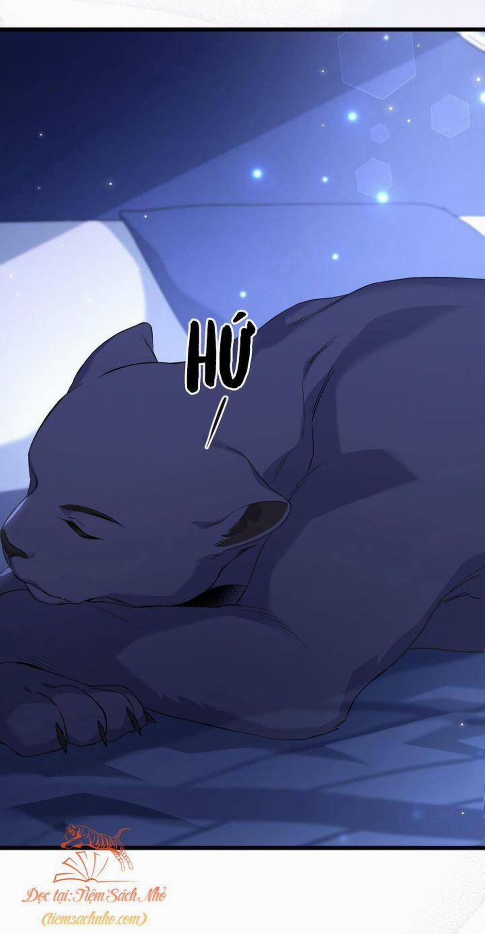 Mối Quan Hệ Cộng Sinh Giữa Báo Đen Và Thỏ Trắng 92 trang 10