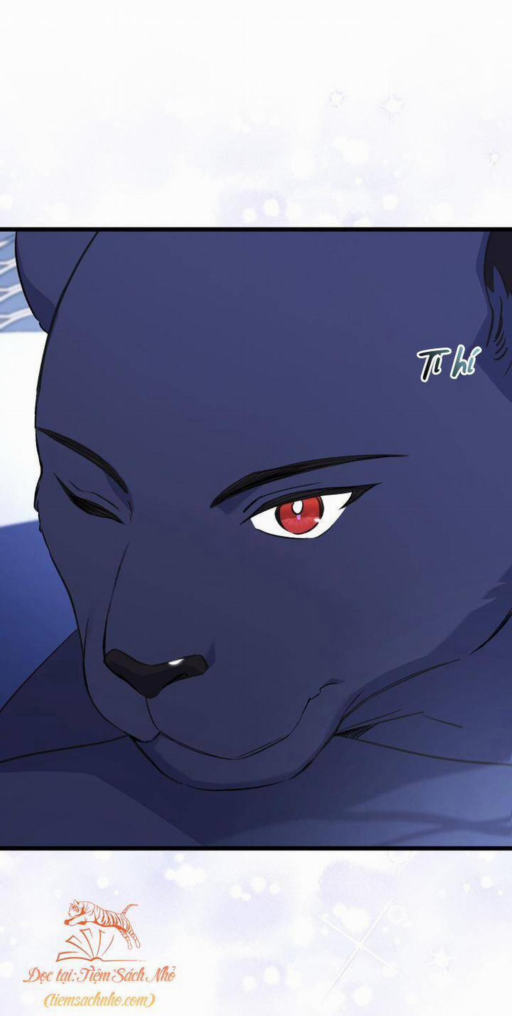 Mối Quan Hệ Cộng Sinh Giữa Báo Đen Và Thỏ Trắng 92 trang 13