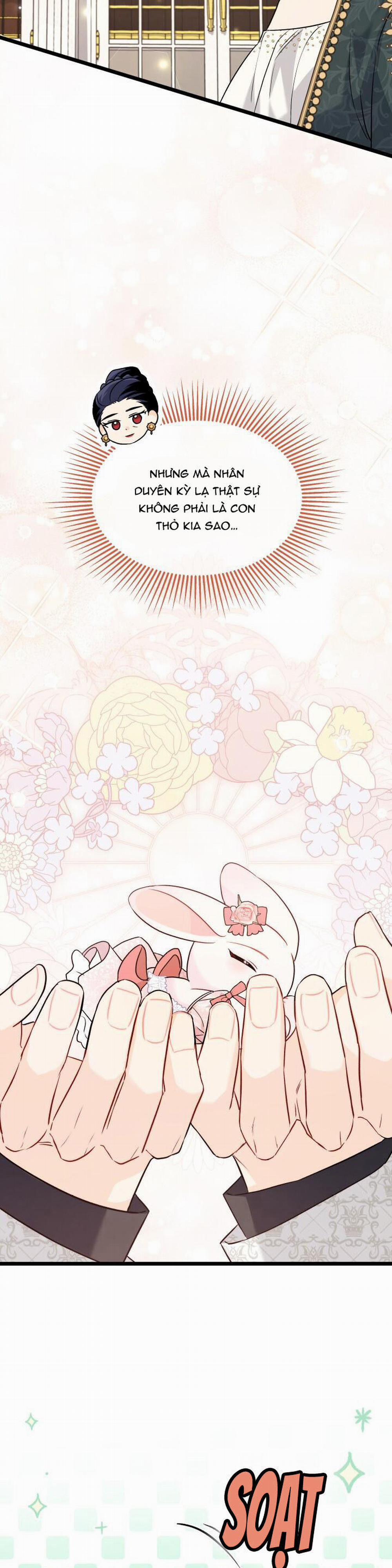 Mối Quan Hệ Cộng Sinh Giữa Báo Đen Và Thỏ Trắng 97 trang 19