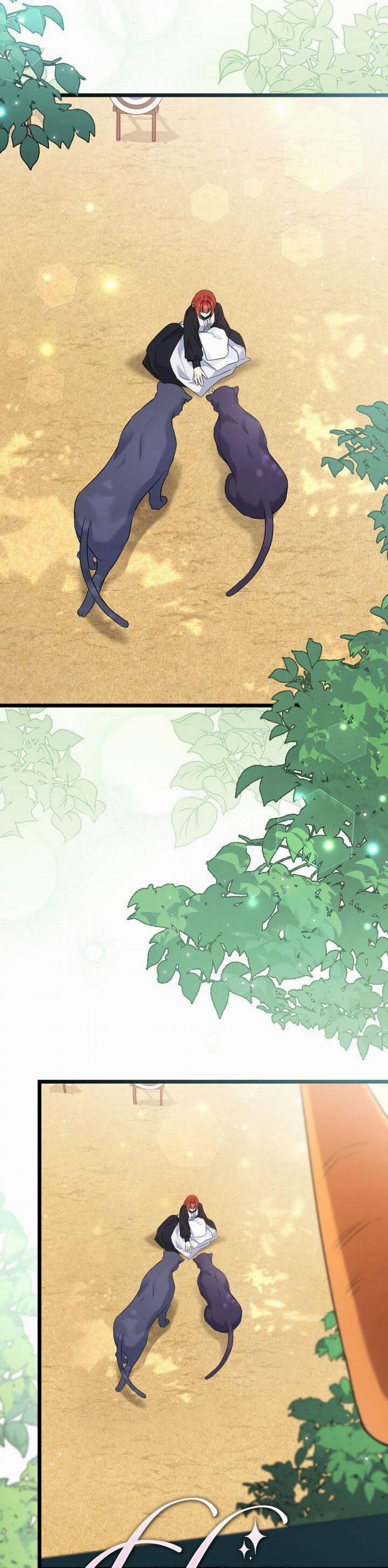 Mối Quan Hệ Cộng Sinh Giữa Báo Đen Và Thỏ Trắng 98 trang 12