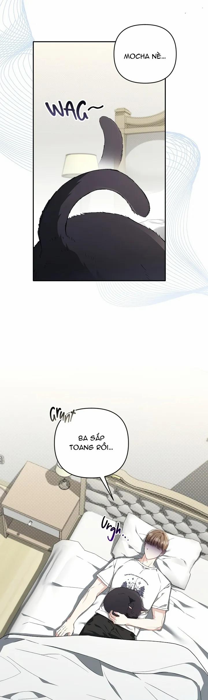 Mối Quan Hệ Cộng Sinh Giữa Người Mới Và Người Chơi Lão Luyện 2 trang 1