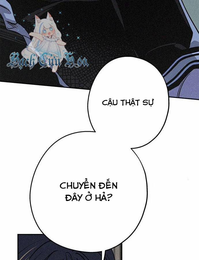 Mối Quan Hệ Đặc Biệt 12 trang 19