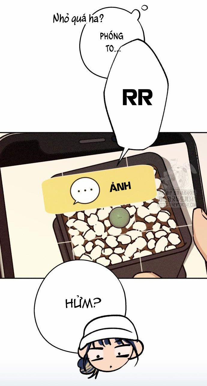 Mối Quan Hệ Đặc Biệt 16.1 trang 10