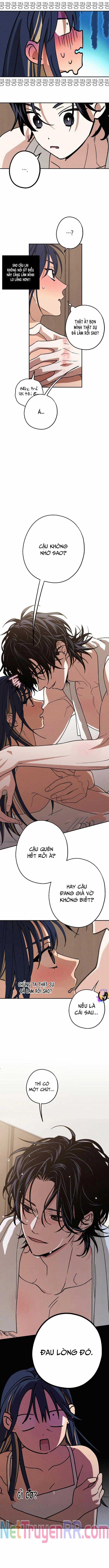 Mối Quan Hệ Đặc Biệt 29 trang 7