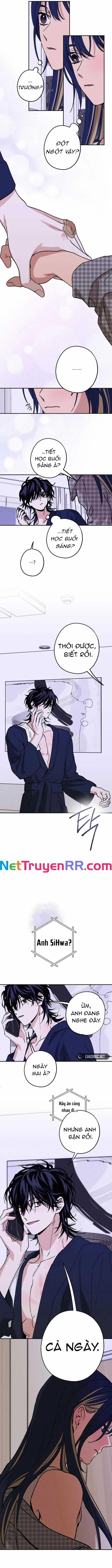 Mối Quan Hệ Đặc Biệt 31 trang 7