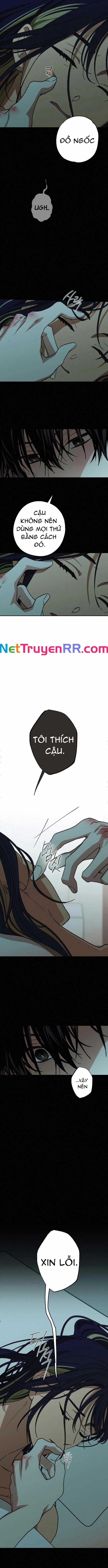 Mối Quan Hệ Đặc Biệt 31 trang 9