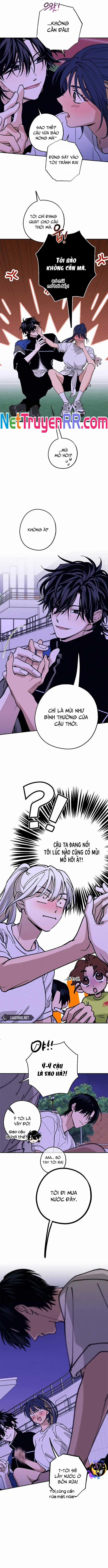 Mối Quan Hệ Đặc Biệt 33 trang 10