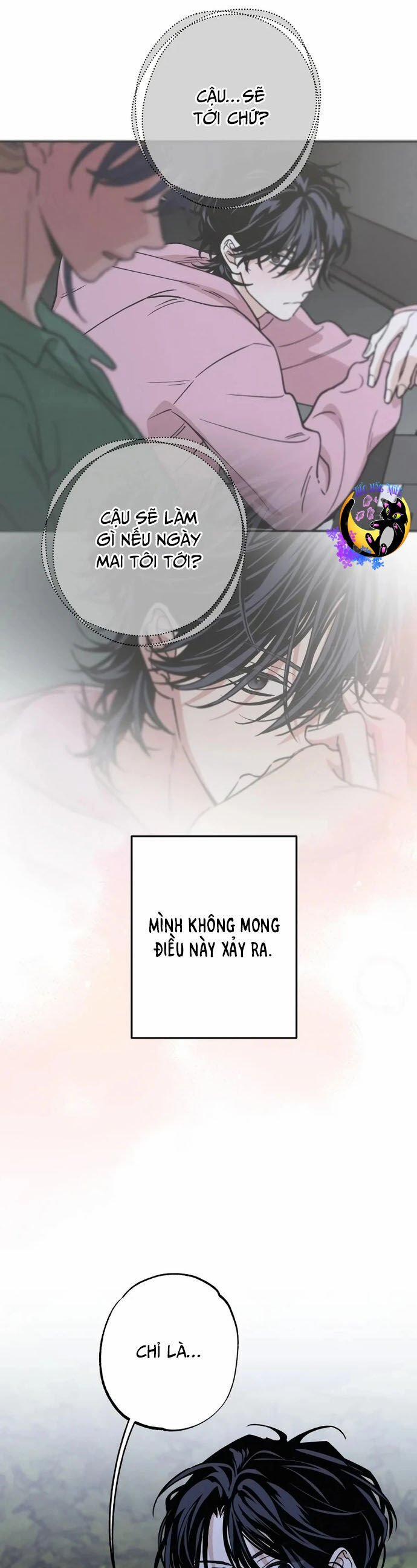 Mối Quan Hệ Đặc Biệt 44 trang 4