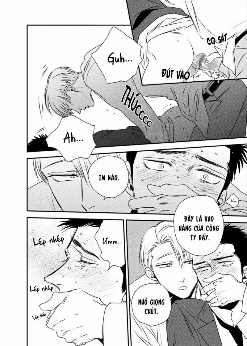 Mối Quan Hệ Giữa Bướm Và Hoa 2 trang 11