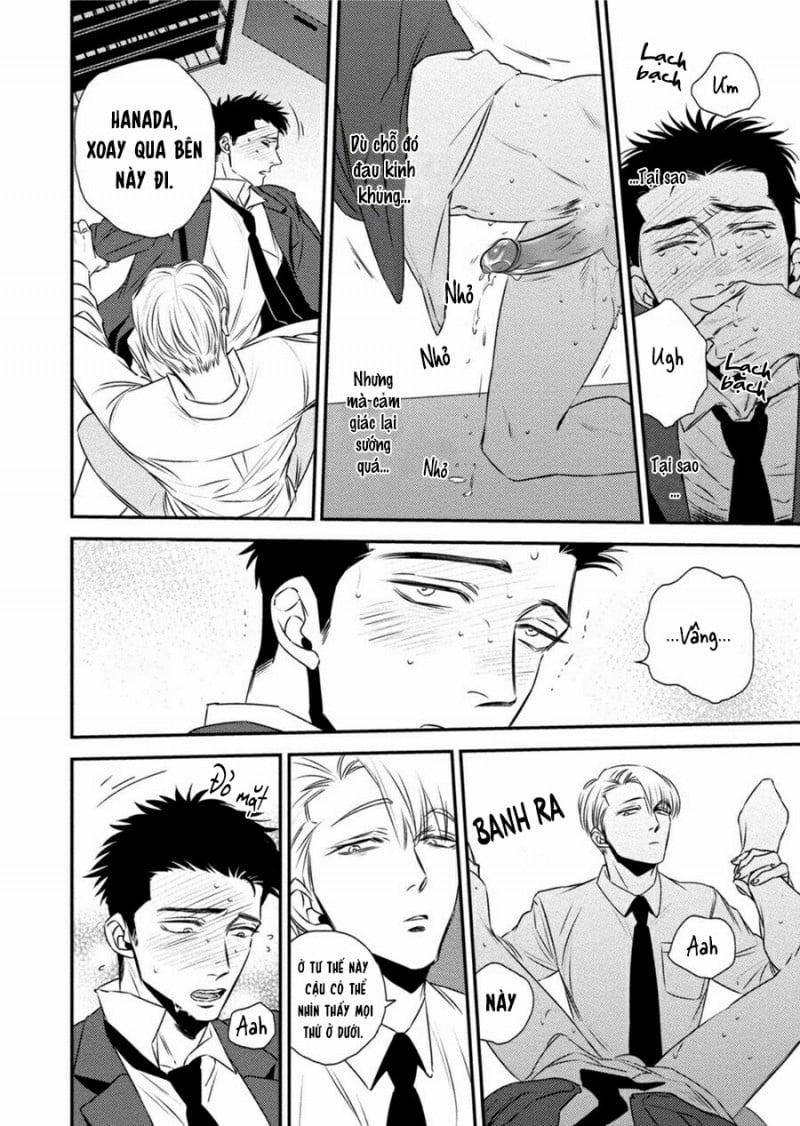 Mối Quan Hệ Giữa Bướm Và Hoa 2 trang 13