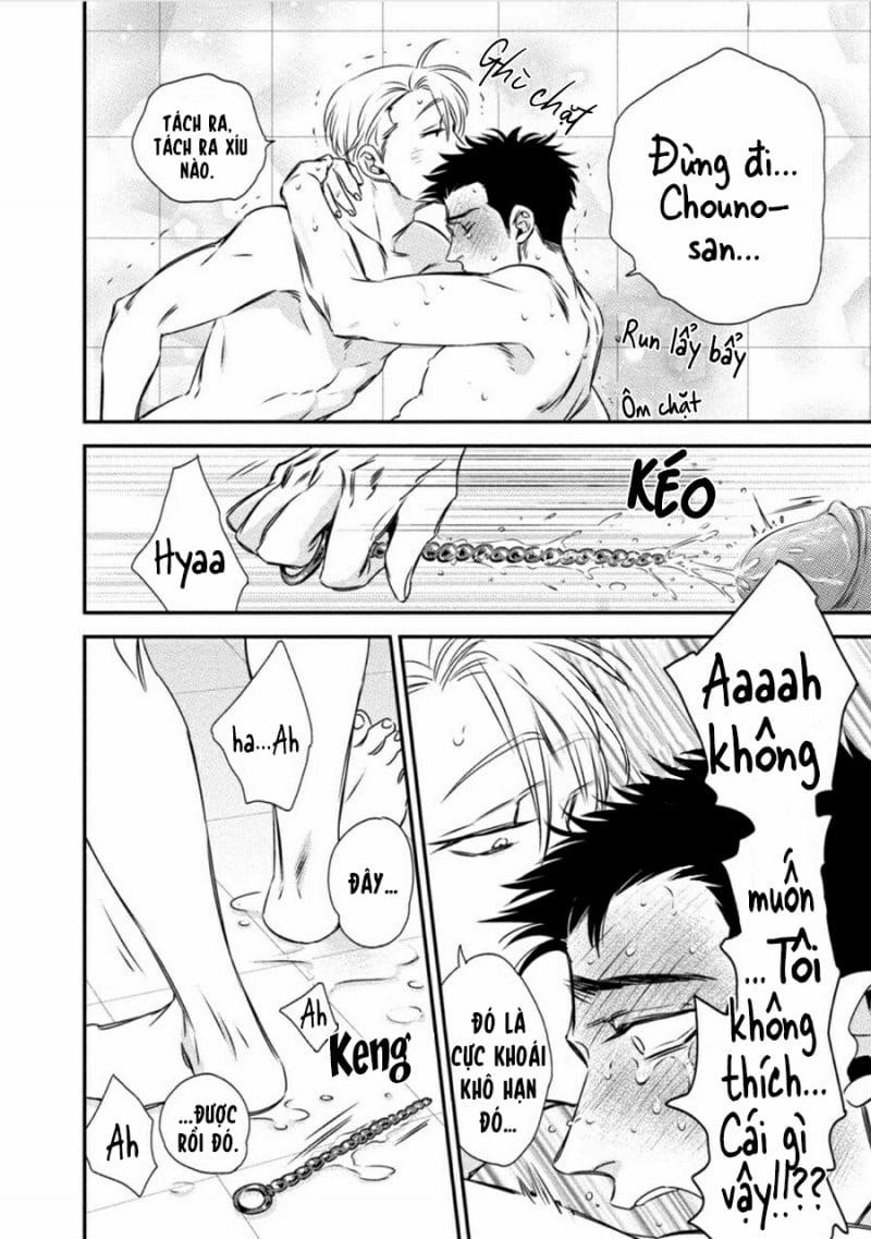 Mối Quan Hệ Giữa Bướm Và Hoa 3 trang 11